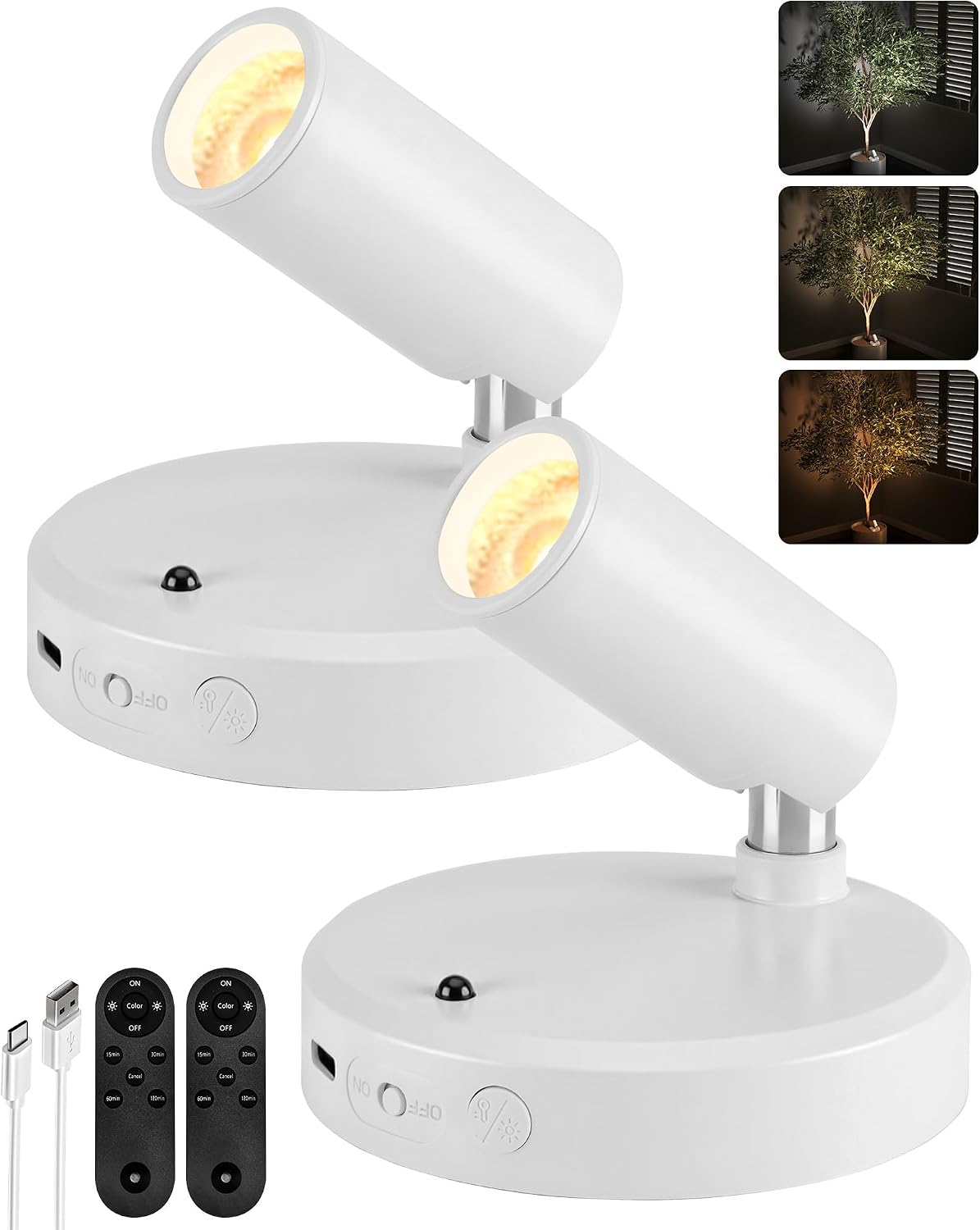 EZVALO Spot Lights Indoor, Rechargeable Picture Lights with Remote, 2-Pack