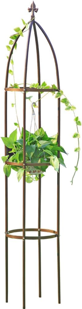 Heavy Duty Metal Garden Obelisk Trellis, 6.3 ft