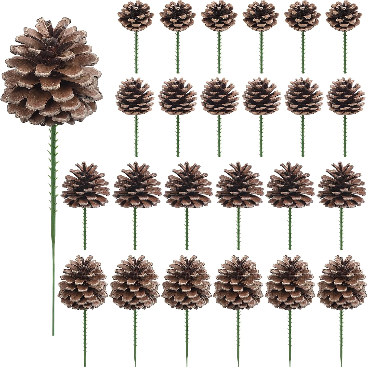 Christmas Pine Cones on Wired Picks, 24 Piece