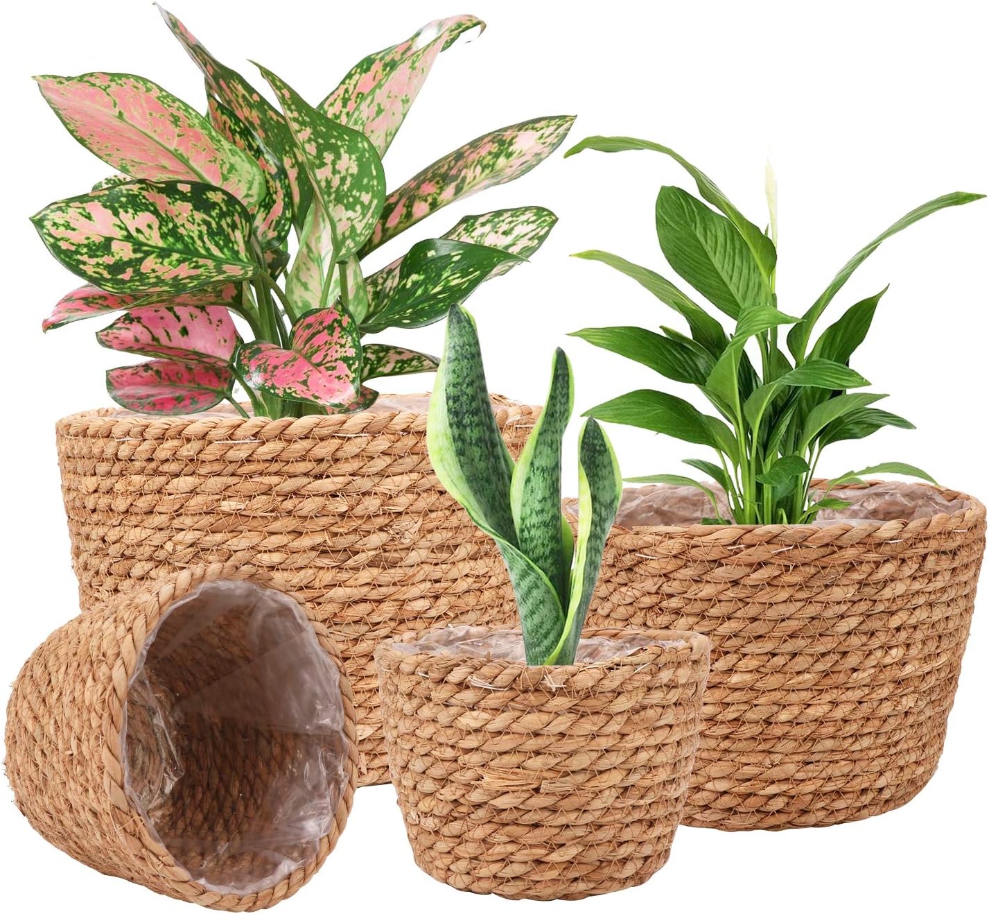 Seagrass Planter Baskets, Set of 4