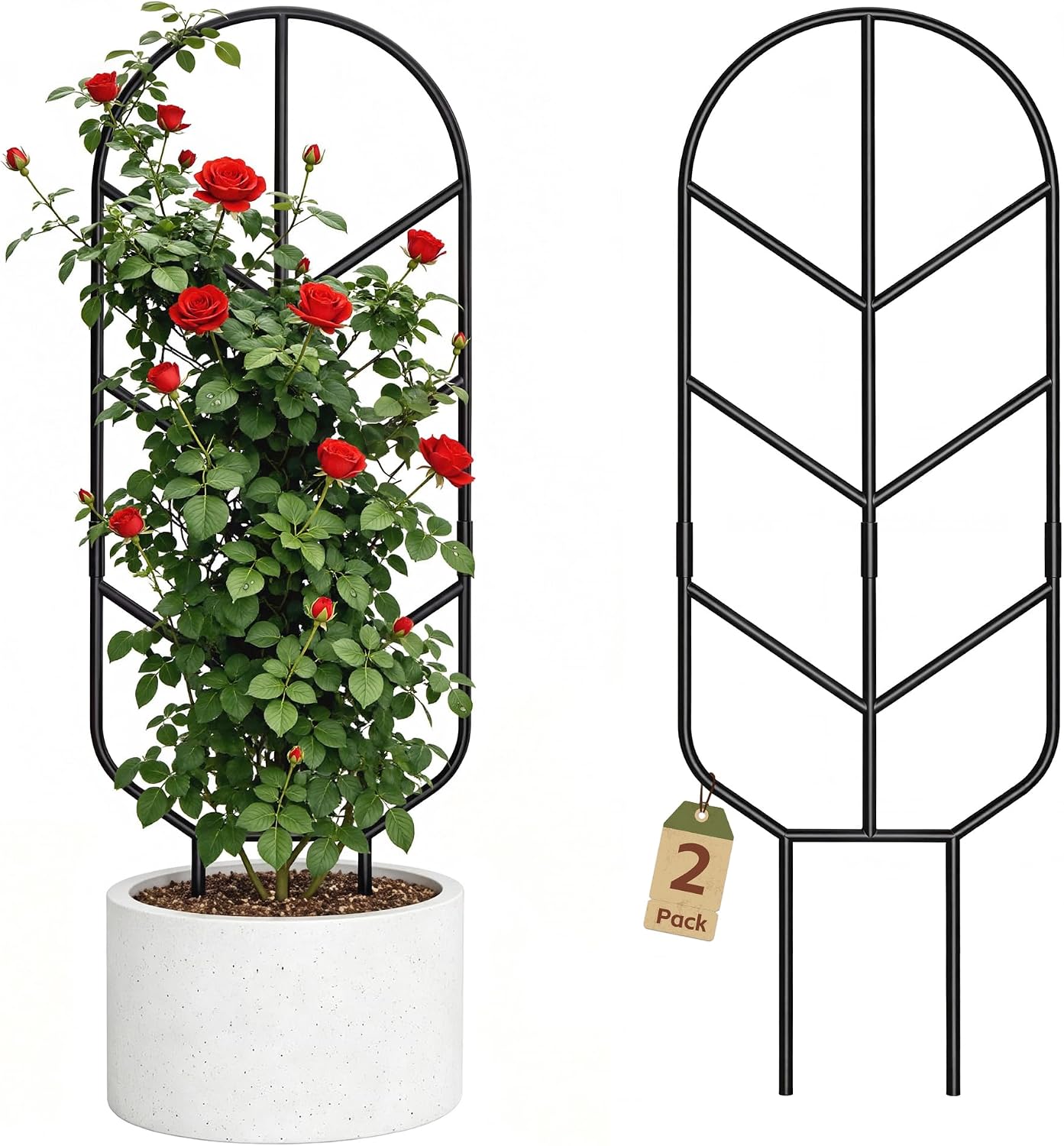 30 Inch Large Metal Plant Trellis for Climbing Plants