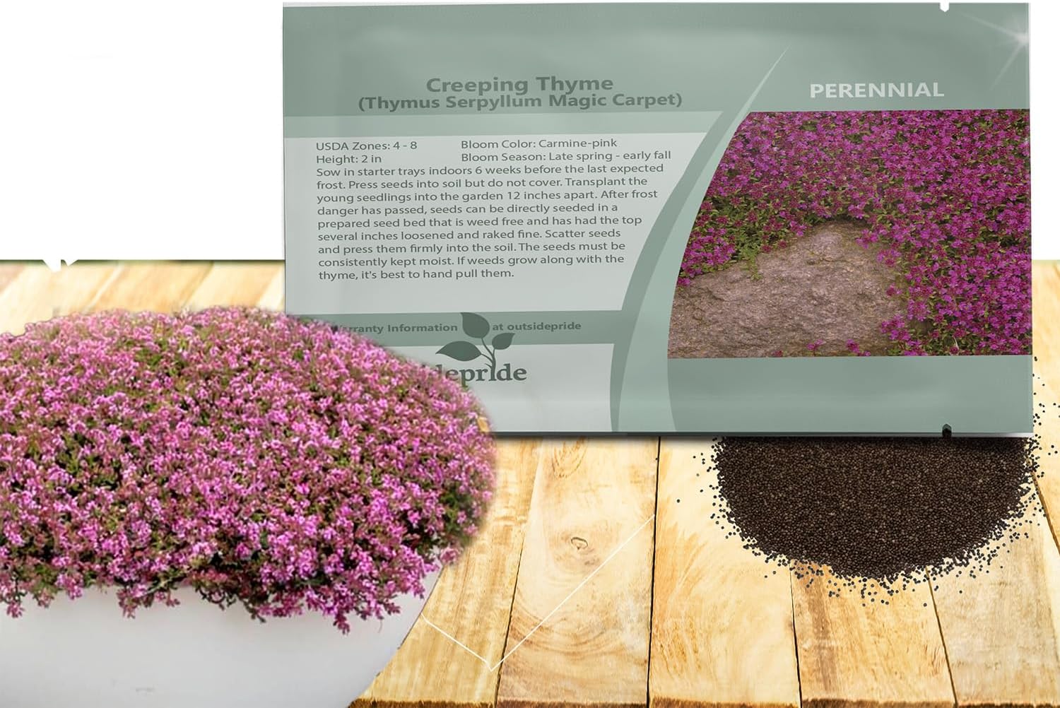 Outsidepride Magic Carpet Creeping Thyme Seeds, 1,000 Seeds, Perennial