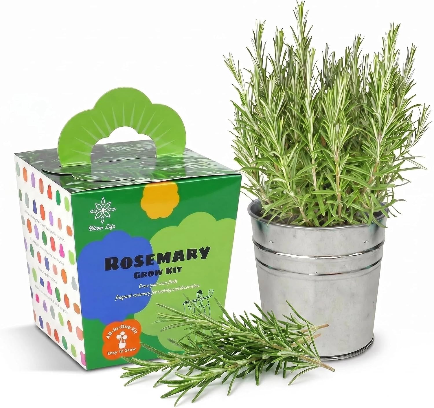 Rosemary Grow Kit, All-in-One Indoor Herb Garden Kit with Planter
