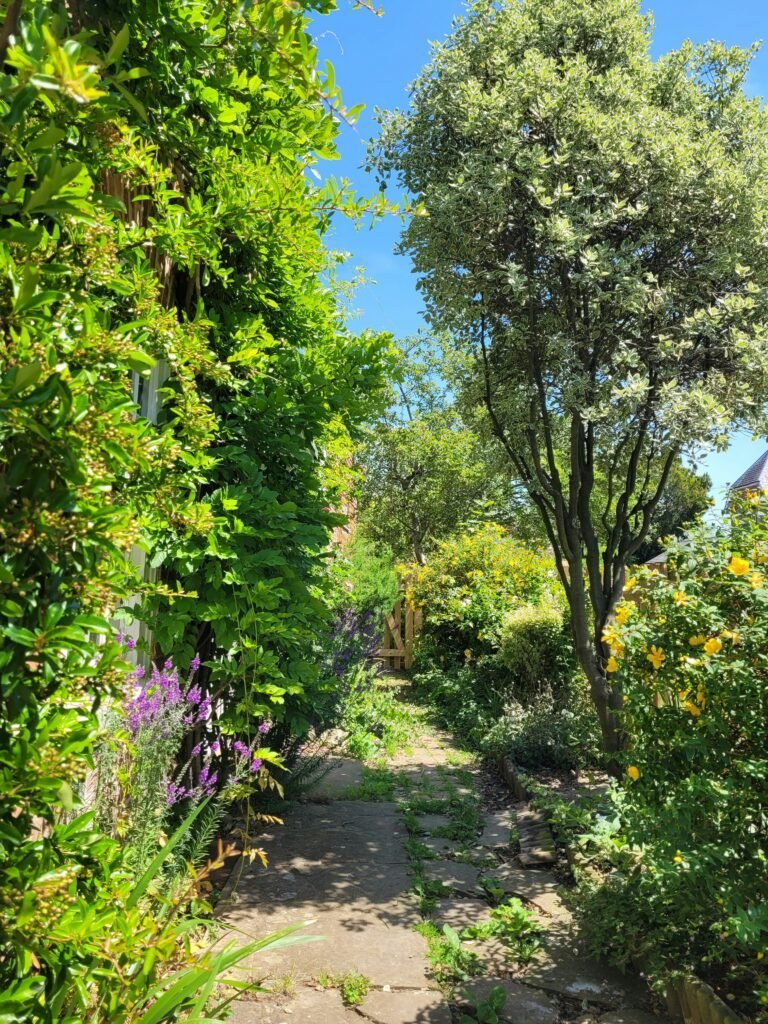 Narrow stone garden path lined with dense overflowing greenery, flowering shrubs and trees leading to a wooden gate