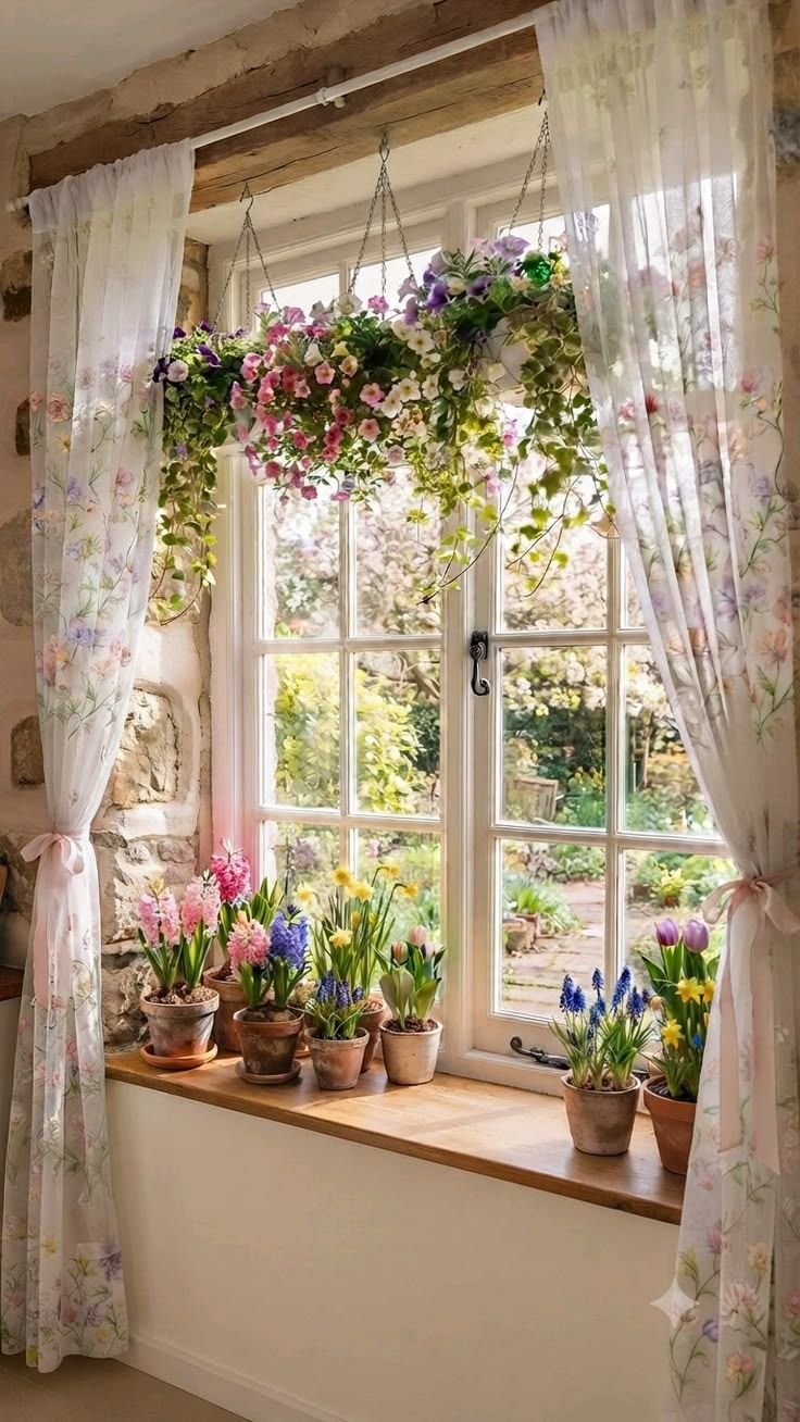 Cottage window with terracotta pots of hyacinths and daffodils on the sill, hanging flower baskets and floral curtains tied back