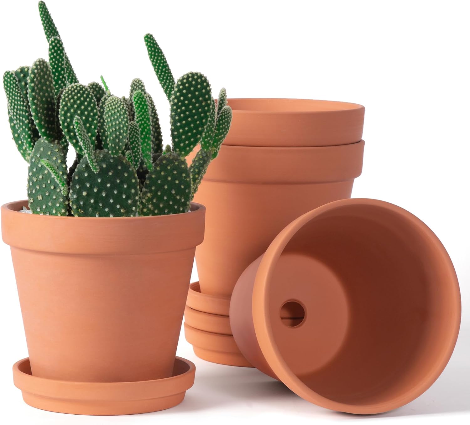 Orceler 6 Inch Terracotta Clay Pots with Saucers