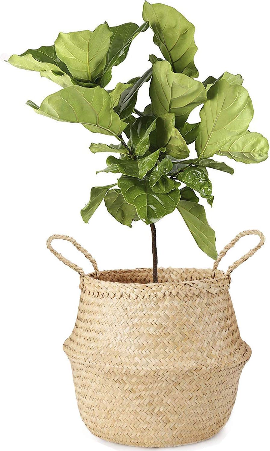 Seagrass Belly Basket