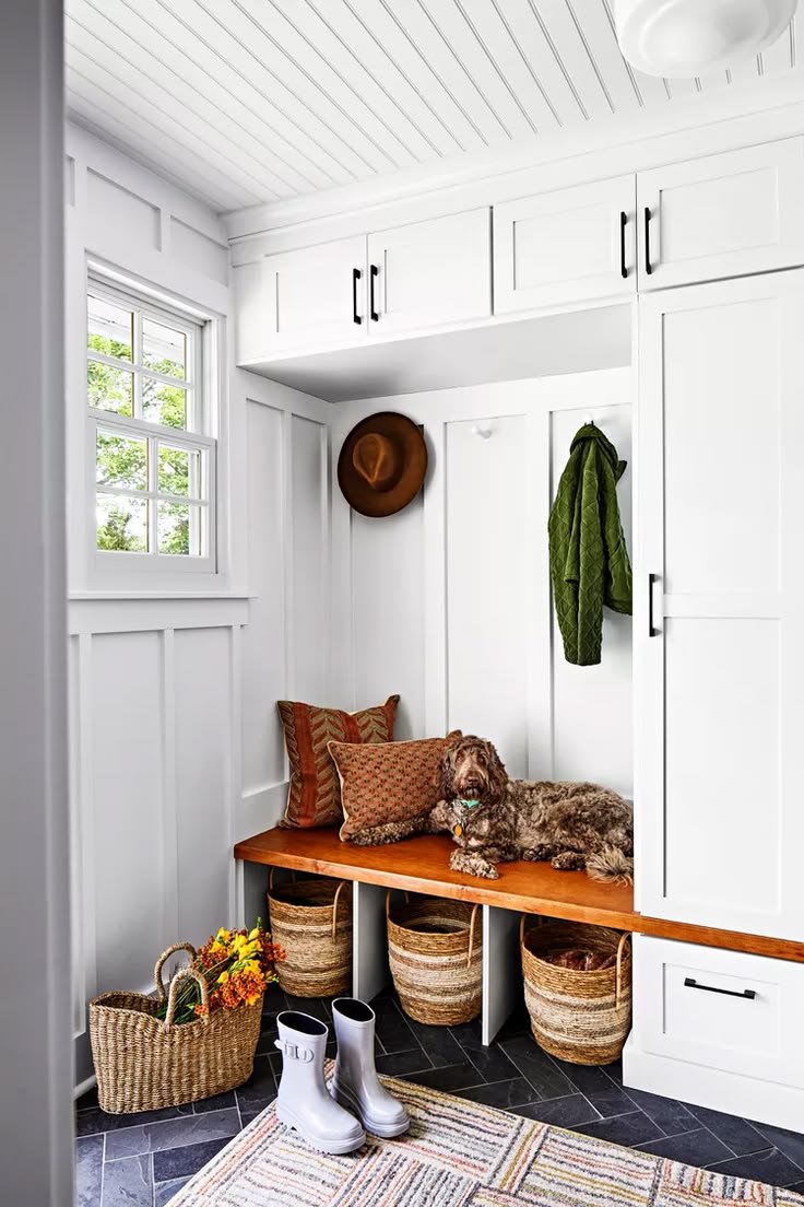 A white board and batten mudroom with a dog lying on the bench and baskets underneath