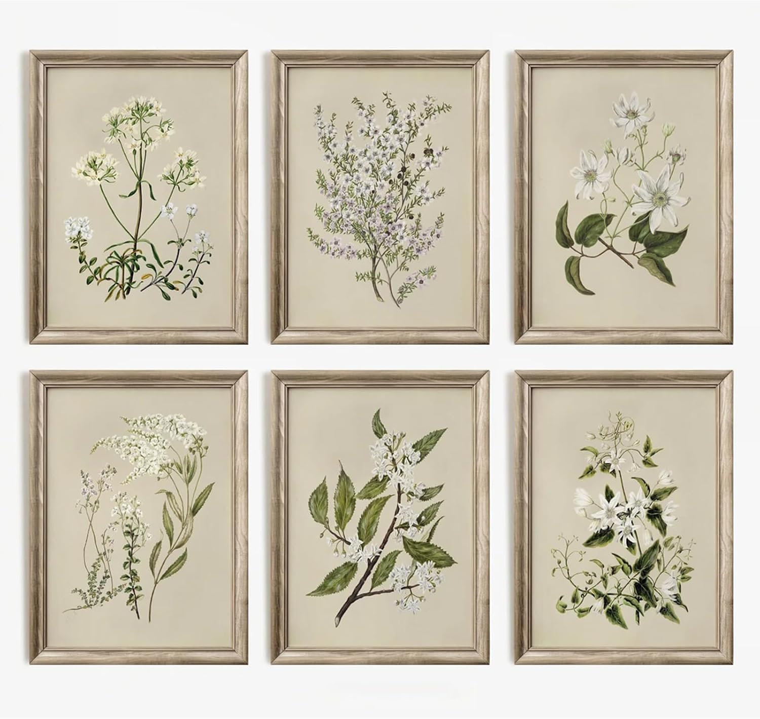 Vintage Botanical Wall Art Set of 6, Neutral Floral Canvas Wildflower Prints