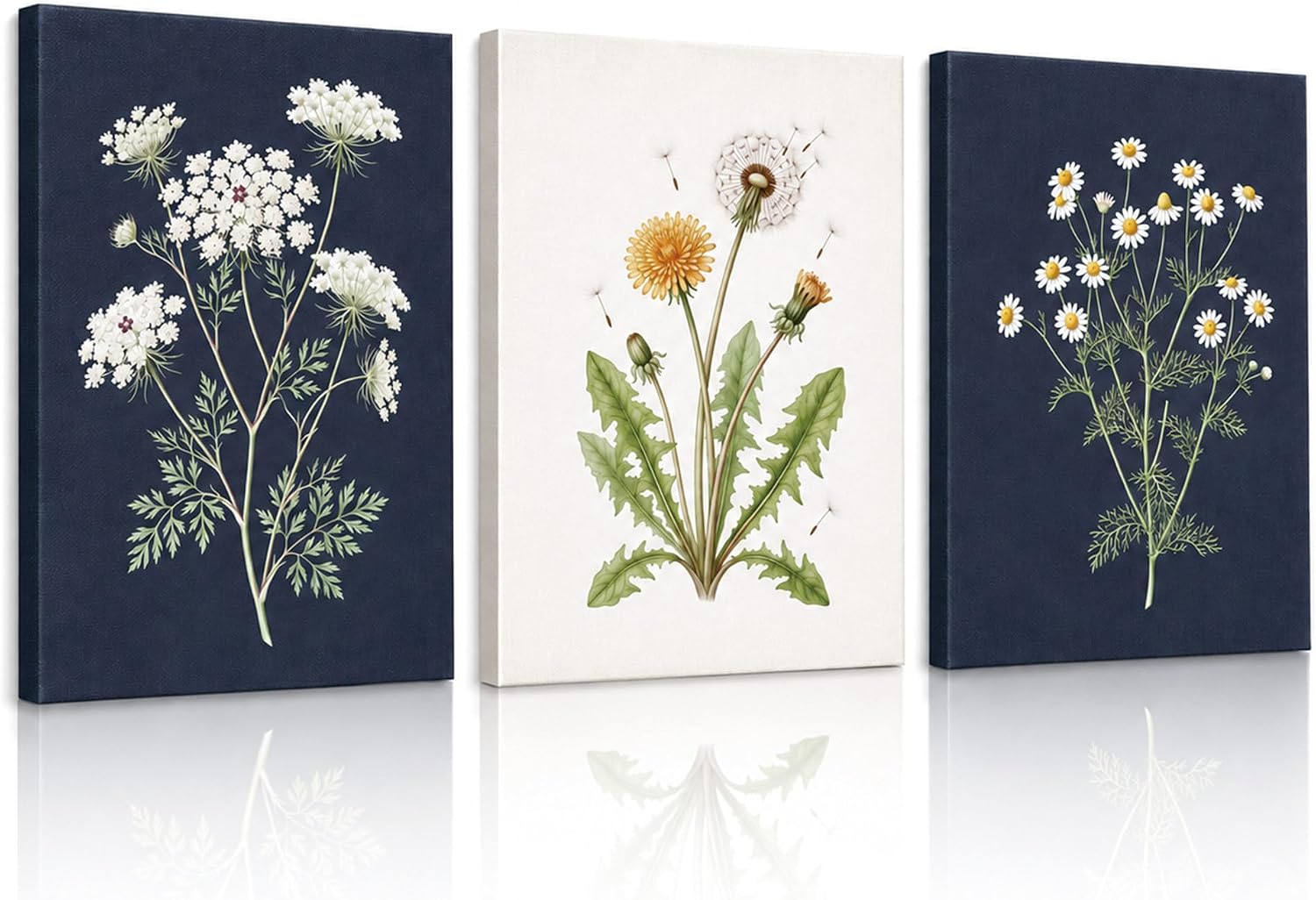 HHIOAXXIQ Botanical Sketch Canvas Wall Art Set of 3, Wildflower Line Prints