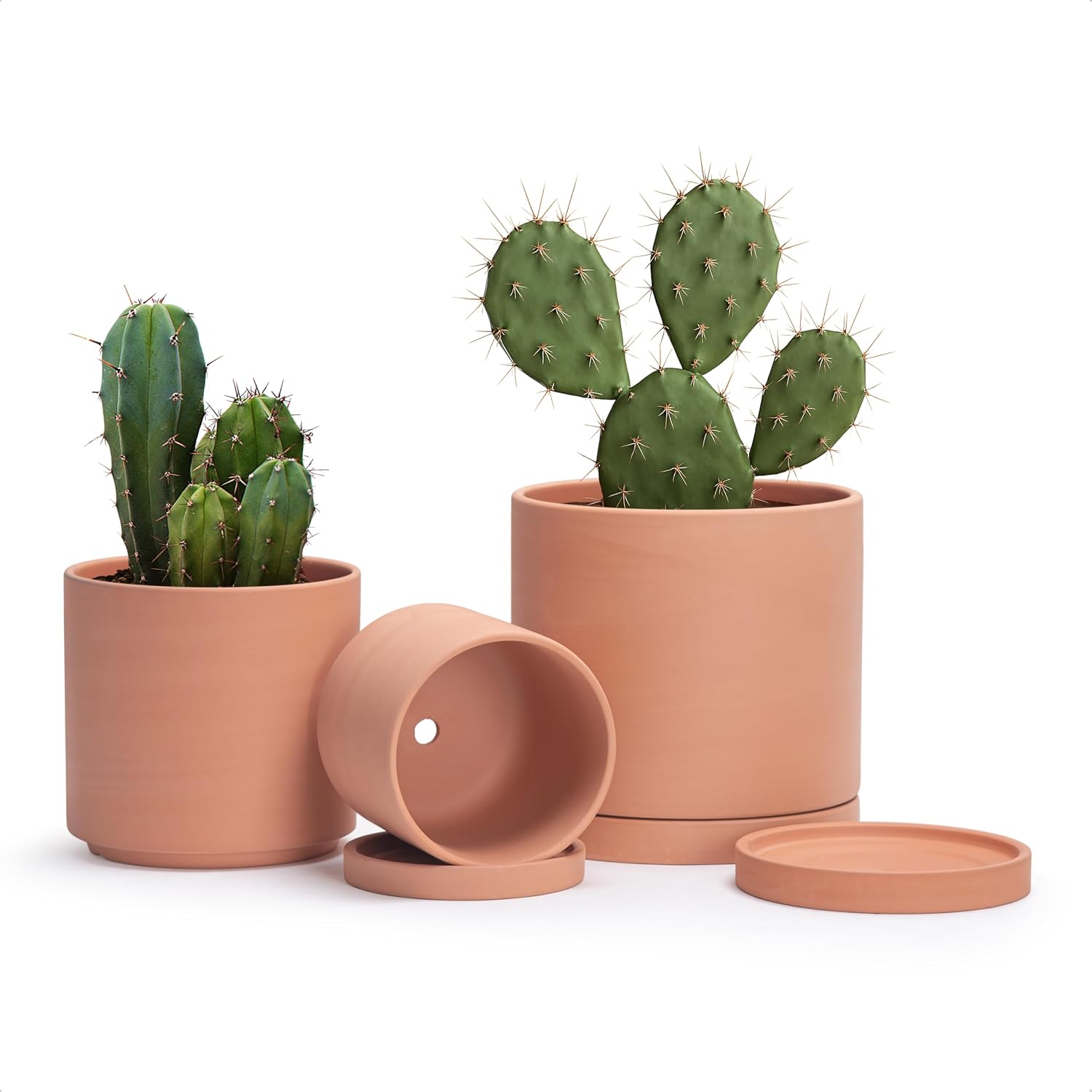D'vine Dev Classic Terracotta Pots with Saucers, 3 Pack, 5, 6 and 8 Inch