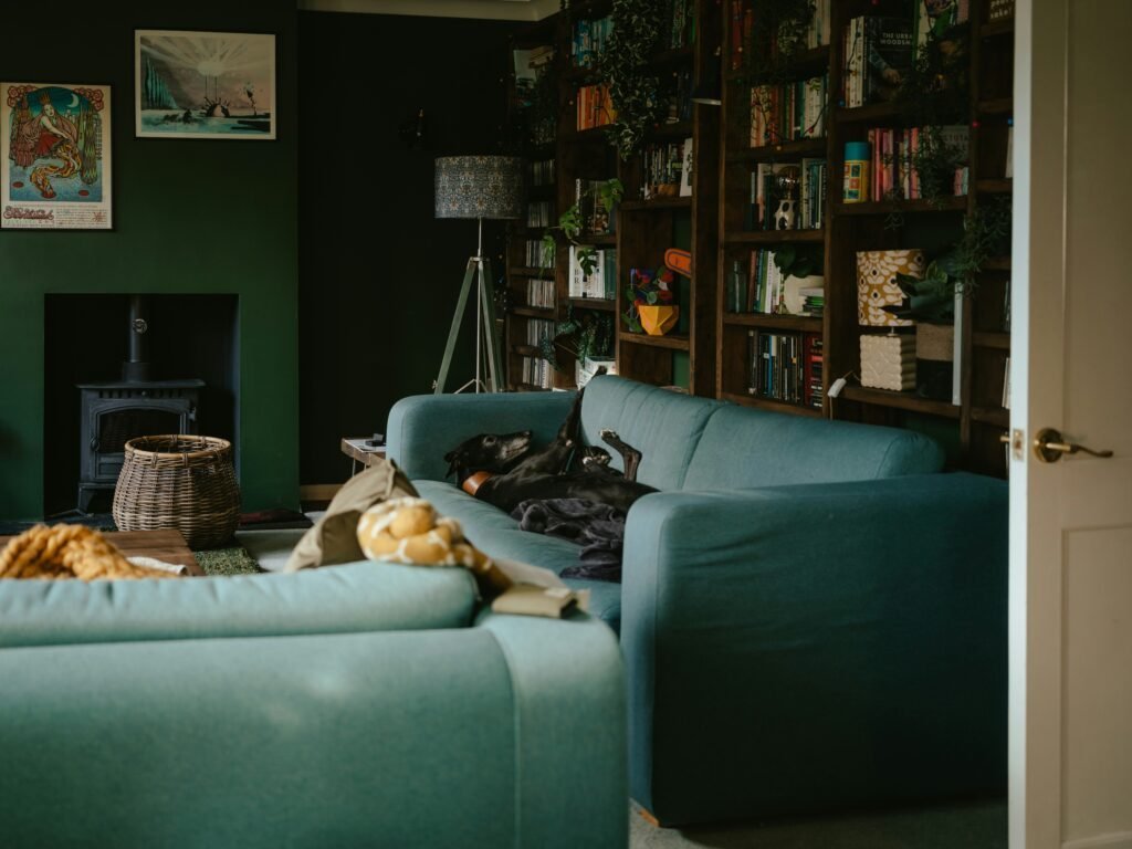 Deep, bold wall color setting the foundation for a moody room