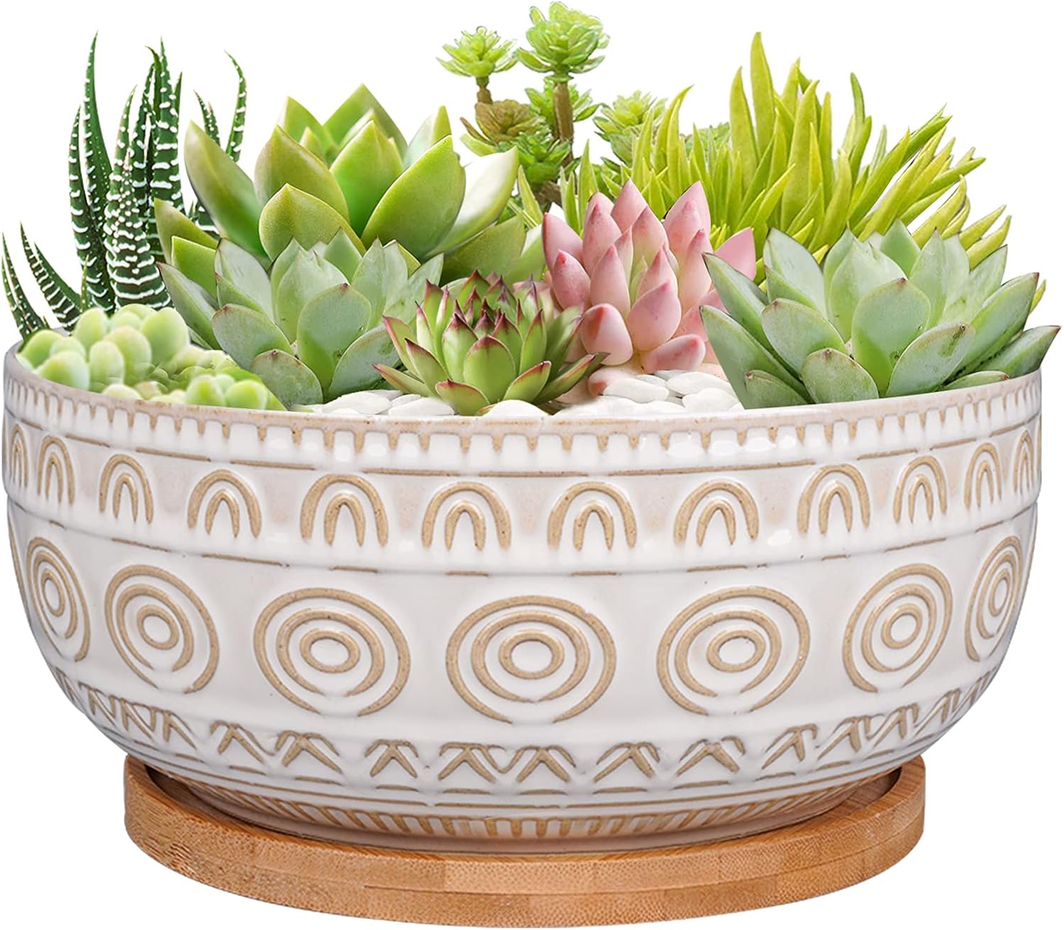 Eightpot 8 Inch Shallow Ceramic Succulent Planter with Drainage Hole and Saucer