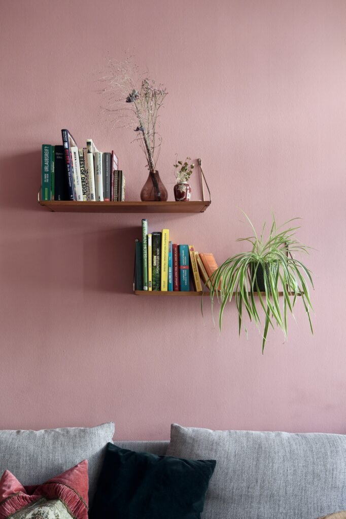 Wood floating shelves with books, dried flowers and a trailing spider plant mounted on a dusty pink wall above a gray sofa