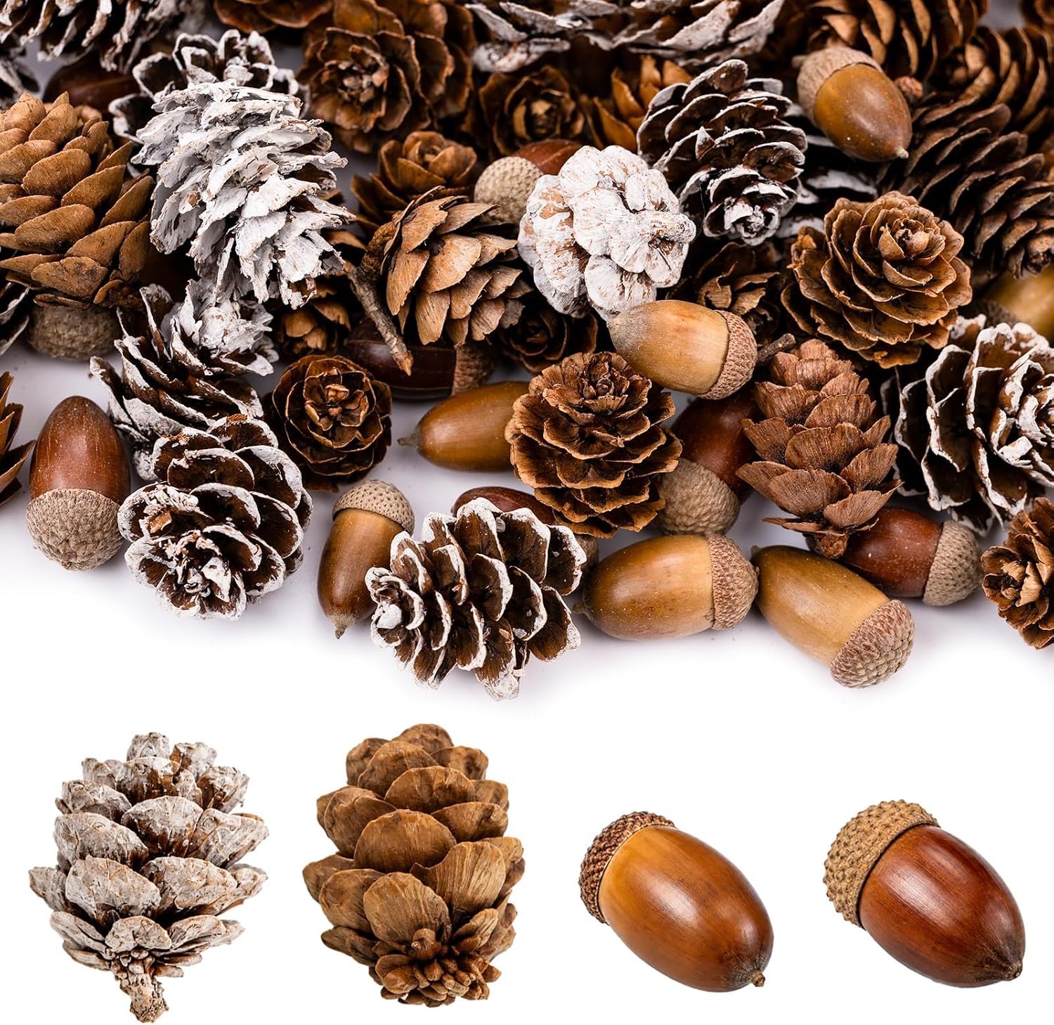 120 Piece Natural Pine Cones and Acorns Craft Set