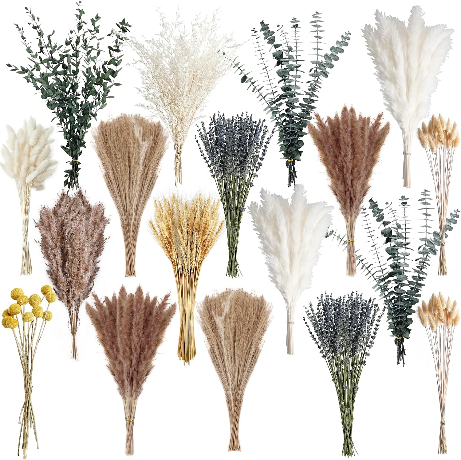 Dried Pampas Grass and Boho Dried Flower Bouquet Set, White and Brown