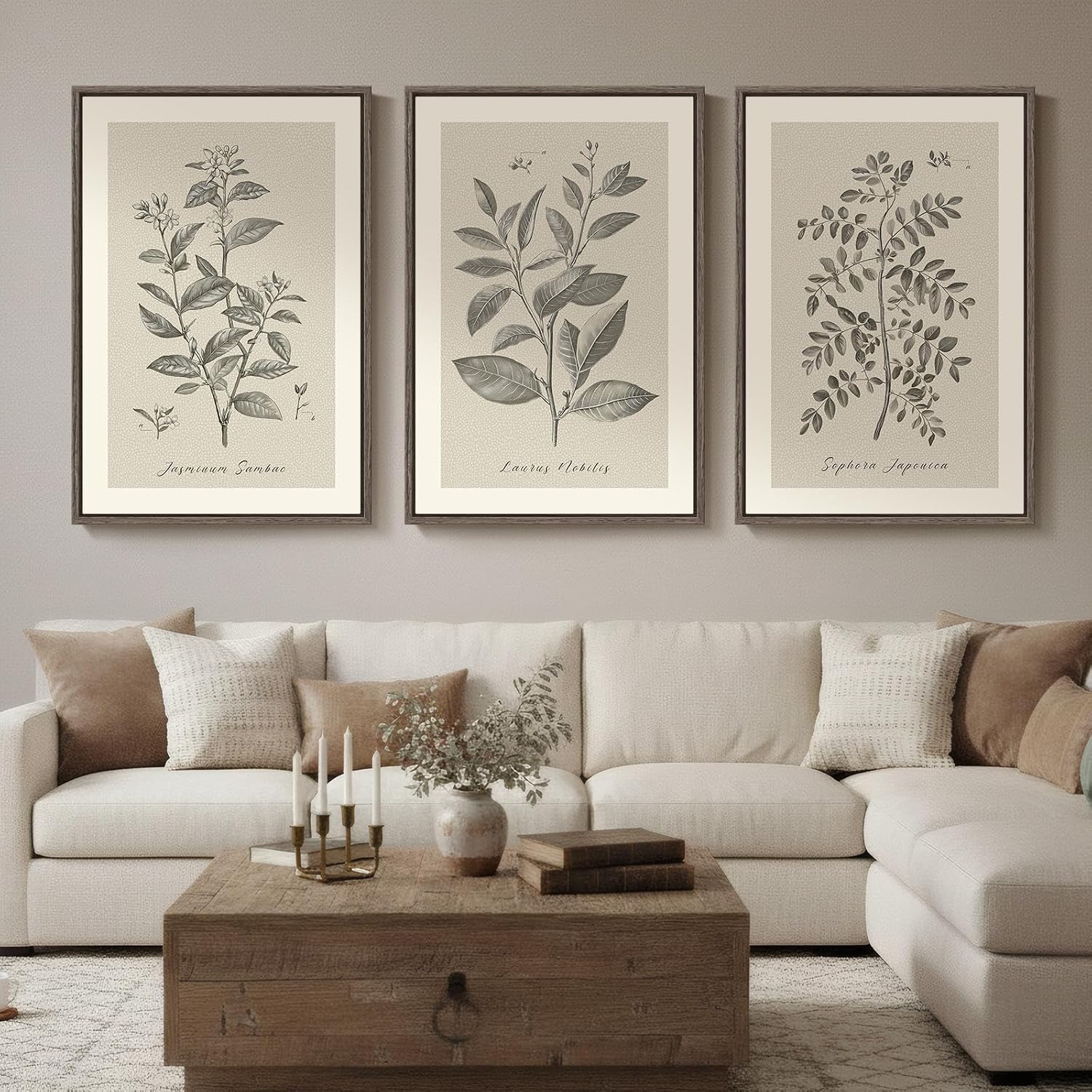 Large Framed 3 Piece Vintage Botanical Wall Art for Living Room, 24x36 In