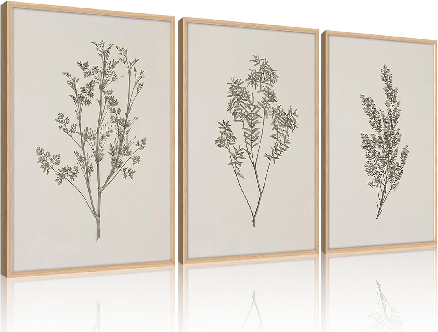 Botanical Wall Art Set of 3 Framed, Minimalist Neutral Plant Canvas Print
