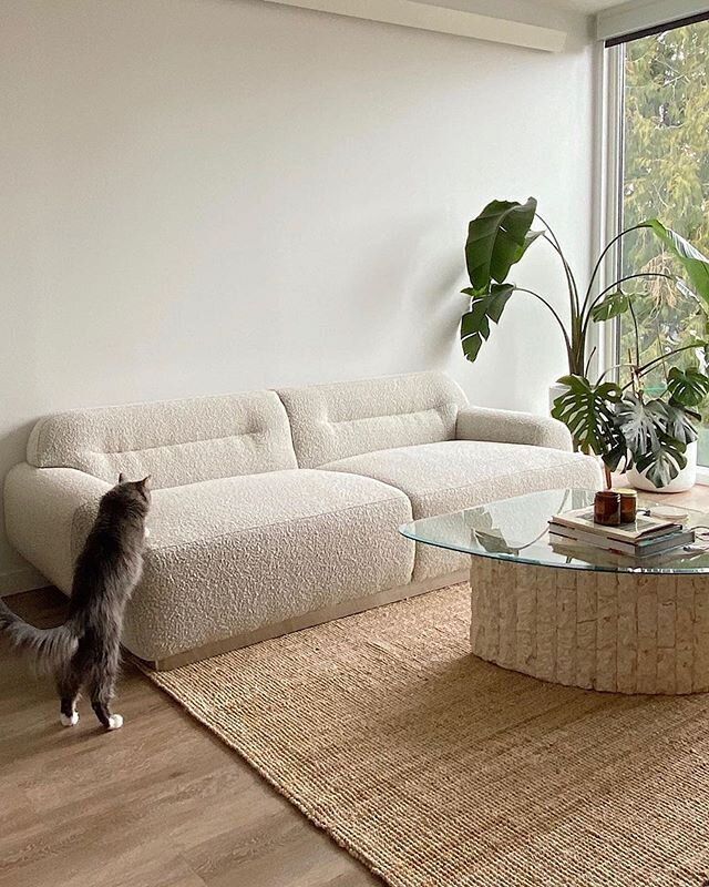 Low cream bouclé sofa with plenty of open floor around it, a stone and glass coffee table, a jute rug and a cat