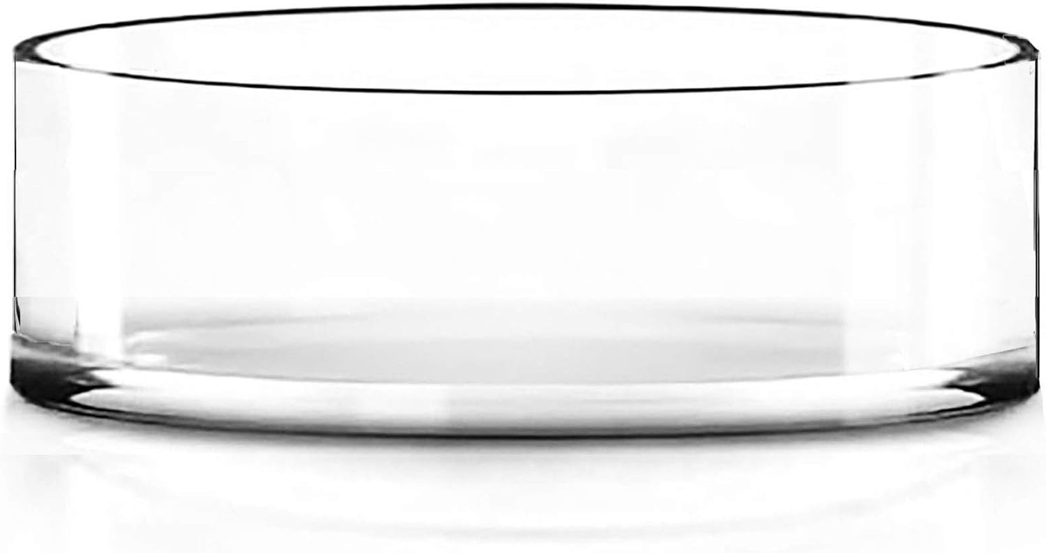 CYS EXCEL Wide Cylinder Clear Glass Bowl Vase, 4 x 12 Inch