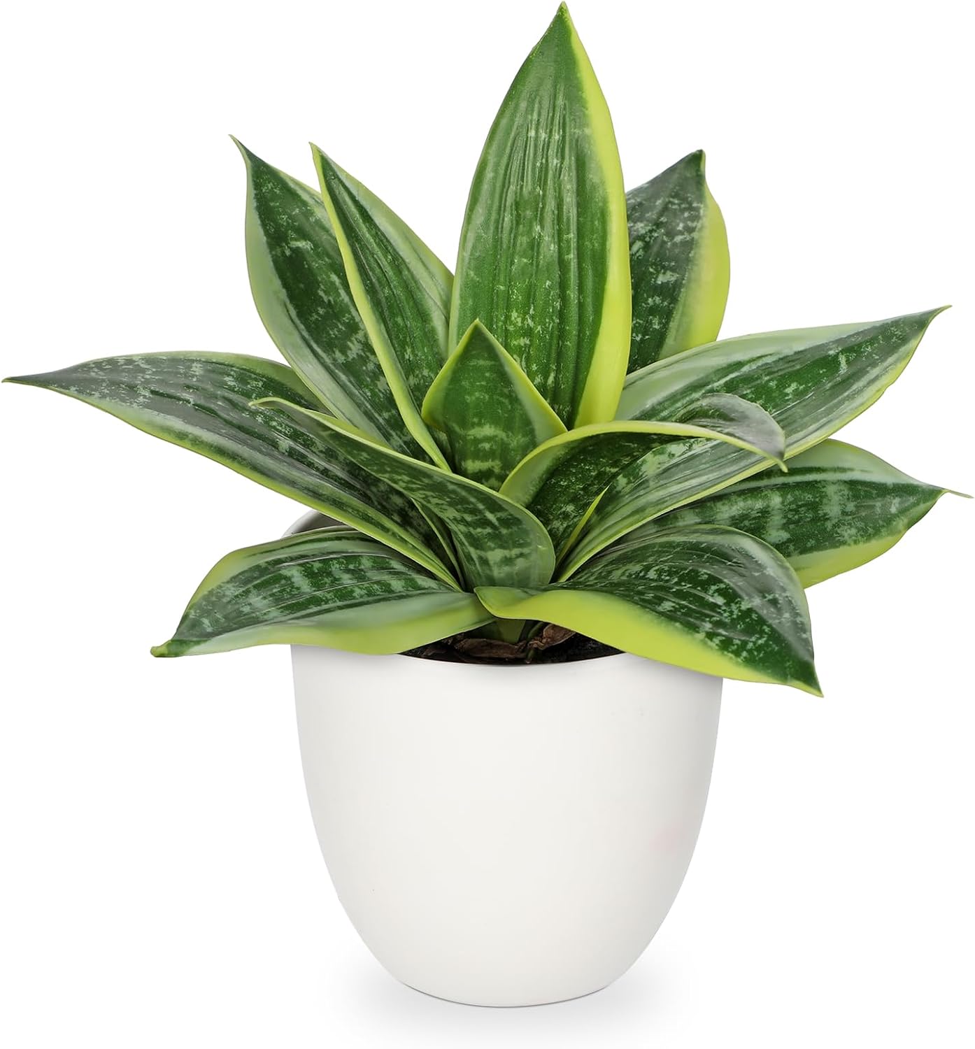Hollyone Artificial Snake Plants 9