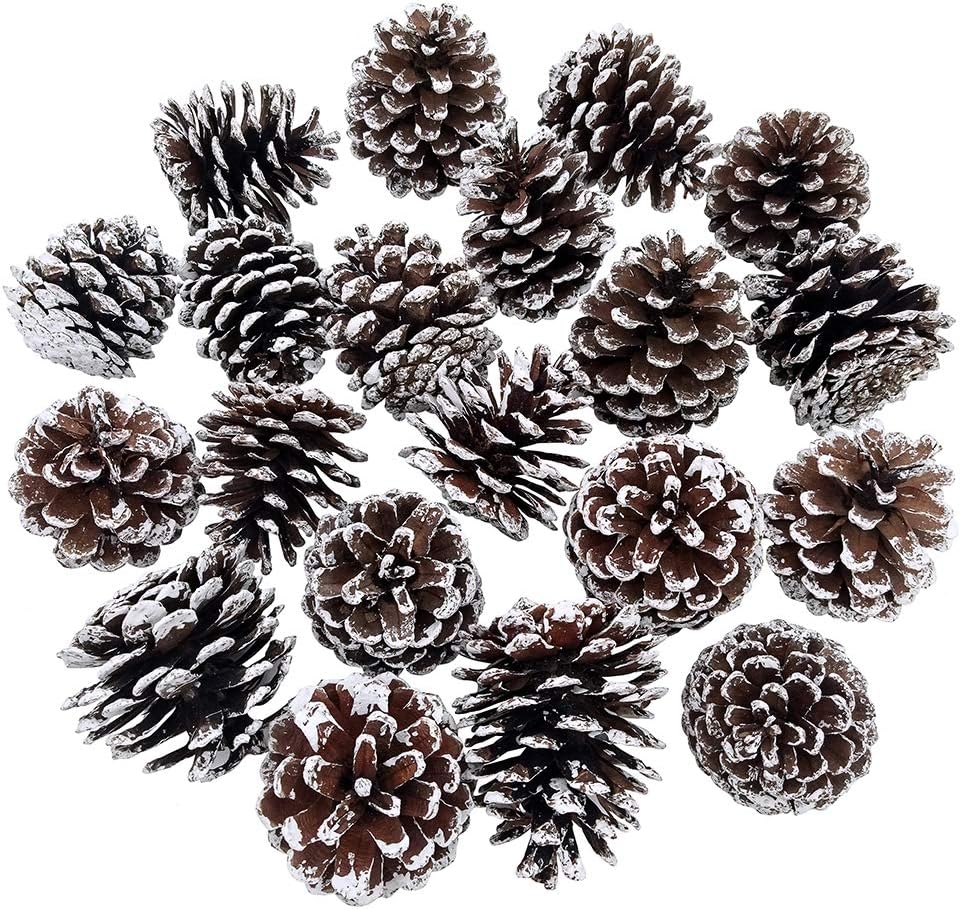 BESTTOYHOME 20-Piece Snow Tipped Natural Dried Pine Cones