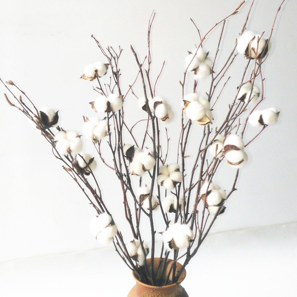 5 Bunches Cotton Stems, Natural Cotton Flowers with Birch Branch