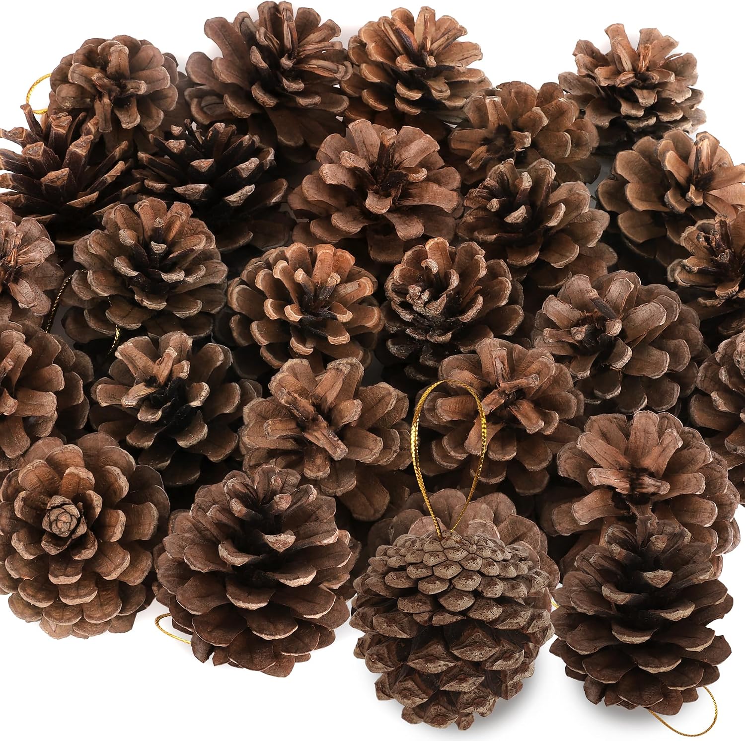 24 Pcs Natural Pine Cones, 1.96 Inch, Rustic Pinecones for Crafts and Decor